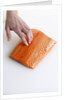 Salmon fillet by Anonymous
