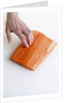 Salmon fillet by Anonymous