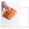 Salmon fillet by Anonymous