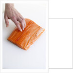 Salmon fillet by Anonymous