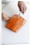 Deboning a salmon fillet by Anonymous
