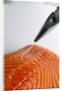 Deboning a salmon fillet by Anonymous