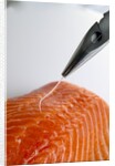 Deboning a salmon fillet by Anonymous