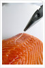 Deboning a salmon fillet by Anonymous
