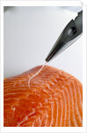 Deboning a salmon fillet by Anonymous