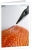 Deboning a salmon fillet by Anonymous