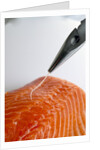 Deboning a salmon fillet by Anonymous