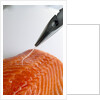 Deboning a salmon fillet by Anonymous