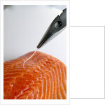 Deboning a salmon fillet by Anonymous