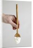 Spoon with yogurt by Anonymous