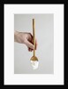 Spoon with yogurt by Anonymous