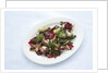 Grilled radicchio and romaine salad by Anonymous