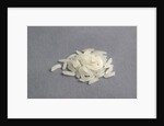 Jasmine rice by Anonymous
