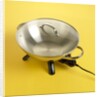 Electric wok by Anonymous