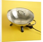 Electric wok by Anonymous