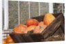 Pumpkins in a box by Anonymous