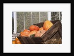 Pumpkins in a box by Anonymous