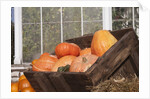 Pumpkins in a box by Anonymous