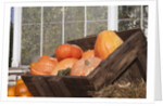 Pumpkins in a box by Anonymous