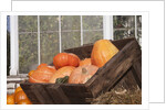 Pumpkins in a box by Anonymous