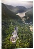 Aerial view of the great castle Neuschwanstein by Anonymous