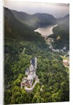 Aerial view of the great castle Neuschwanstein by Anonymous