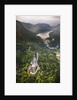 Aerial view of the great castle Neuschwanstein by Anonymous