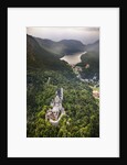 Aerial view of the great castle Neuschwanstein by Anonymous