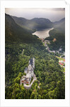 Aerial view of the great castle Neuschwanstein by Anonymous