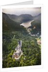 Aerial view of the great castle Neuschwanstein by Anonymous