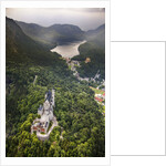 Aerial view of the great castle Neuschwanstein by Anonymous
