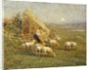 A Shepherd and his Sheep in a Meadow by Tom Griffiths