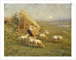 A Shepherd and his Sheep in a Meadow by Tom Griffiths
