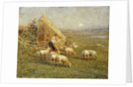 A Shepherd and his Sheep in a Meadow by Tom Griffiths