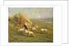 A Shepherd and his Sheep in a Meadow by Tom Griffiths