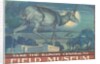 Poster for Field Museum with Horned Antelope by Anonymous