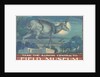 Poster for Field Museum with Horned Antelope by Anonymous