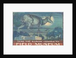 Poster for Field Museum with Horned Antelope by Anonymous
