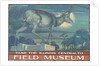 Poster for Field Museum with Horned Antelope by Anonymous