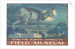 Poster for Field Museum with Horned Antelope by Anonymous