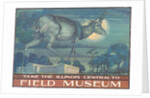 Poster for Field Museum with Horned Antelope by Anonymous