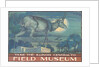 Poster for Field Museum with Horned Antelope by Anonymous