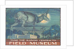 Poster for Field Museum with Horned Antelope by Anonymous