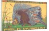 Poster for Field Museum with Porcupine by Anonymous