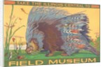 Poster for Field Museum with Porcupine by Anonymous