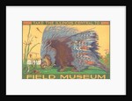 Poster for Field Museum with Porcupine by Anonymous