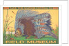 Poster for Field Museum with Porcupine by Anonymous