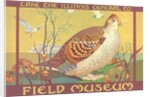 Poster for Field Museum with Quail by Anonymous