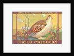 Poster for Field Museum with Quail by Anonymous
