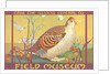 Poster for Field Museum with Quail by Anonymous
